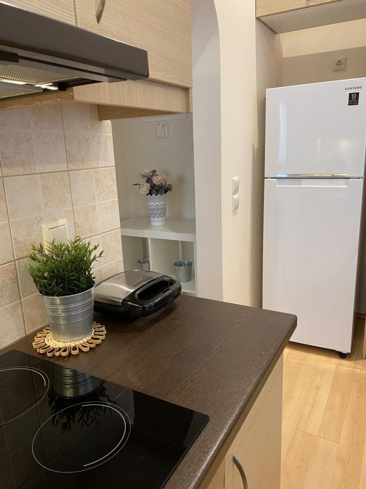 Elegant Glyfada Apartment-Private Garden-Near Metro アテネ エクステリア 写真