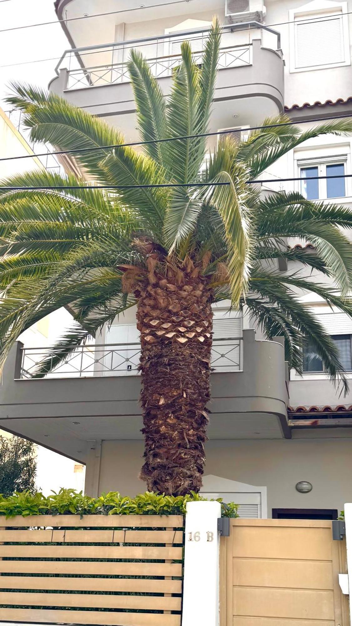 Elegant Glyfada Apartment-Private Garden-Near Metro アテネ エクステリア 写真
